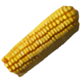 Cornputer Blog